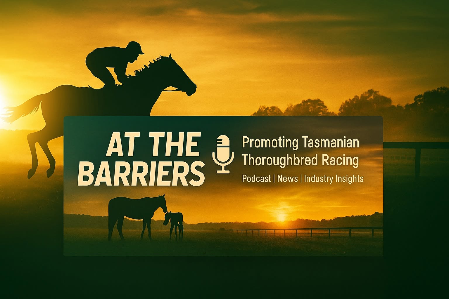 AT THE BARRIERS Tasmania