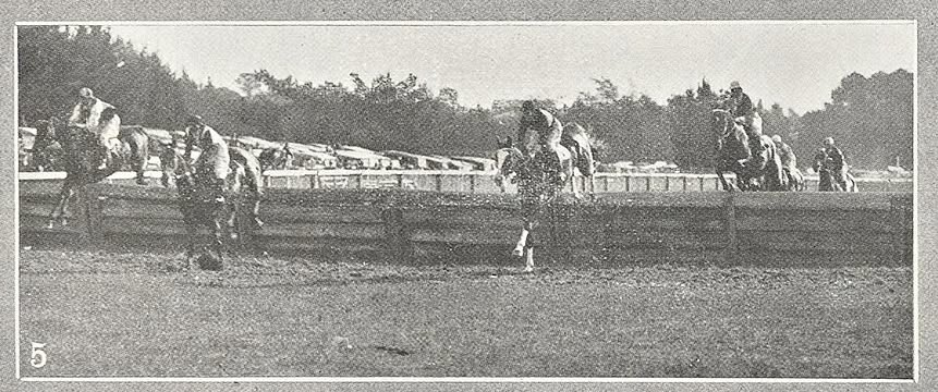 Remembering Tasmania’s Jumps Racing Heroes.